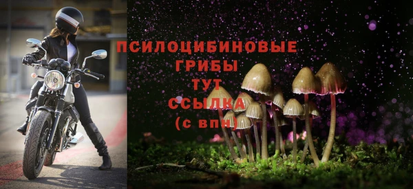 MDMA Нефтегорск