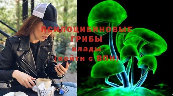 винт Няндома