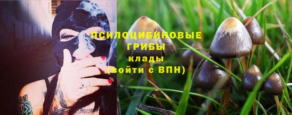 спайс Абаза