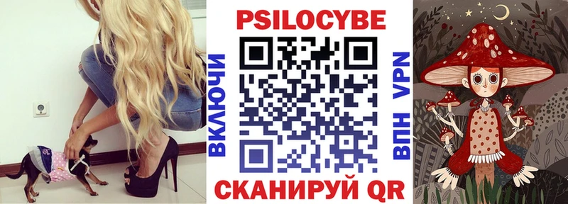 продажа наркотиков  Ростов-на-Дону  Галлюциногенные грибы Magic Shrooms 